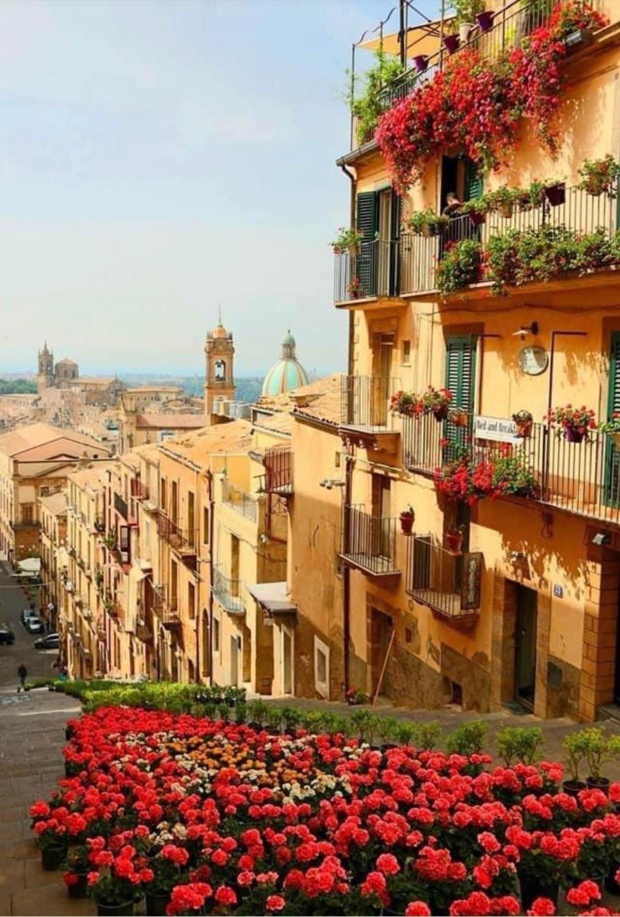 Casa Tipica Siciliana Patronale Home Bedandbreakfast Tremetrisoprailcielo Camere Con Vista, Colazione Interna In Terrazzo Panoramico Калтаджироне Екстериор снимка
