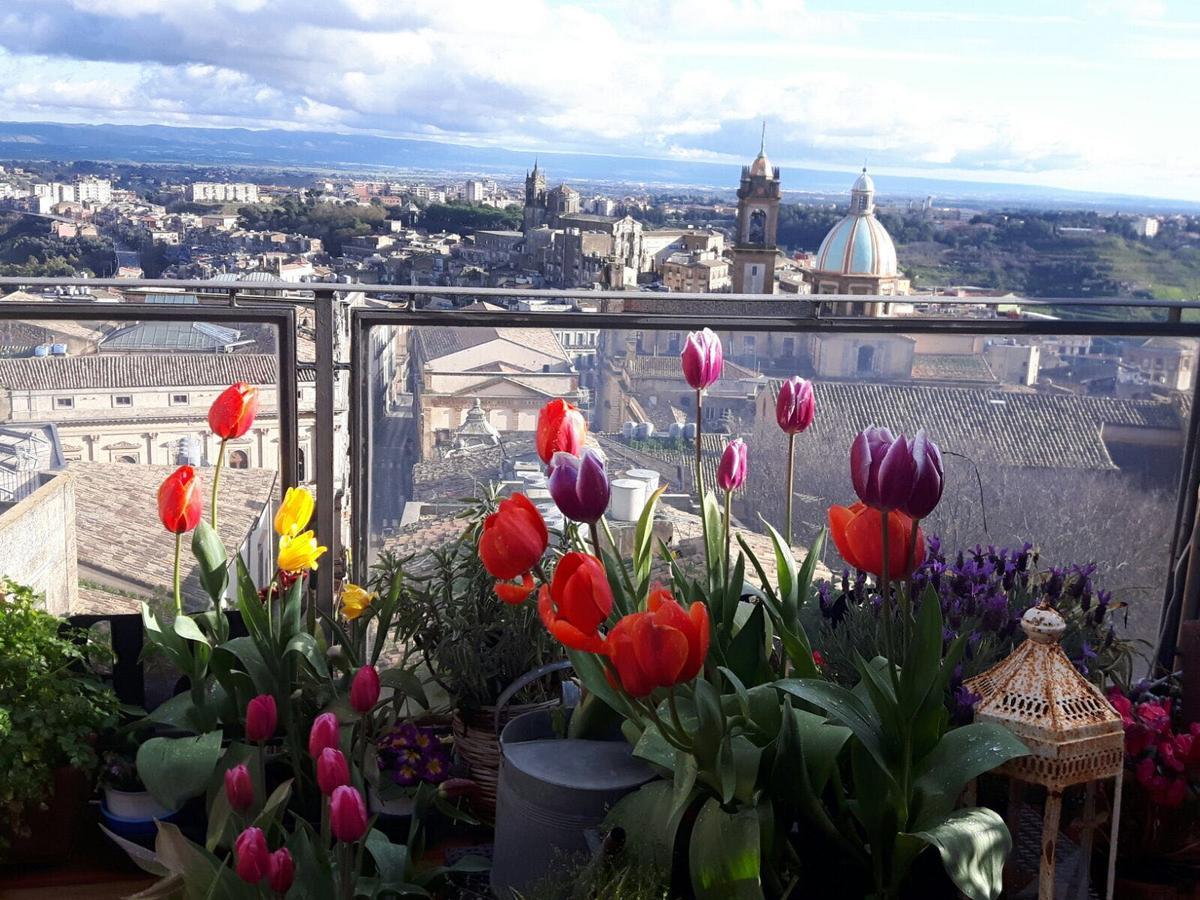 Casa Tipica Siciliana Patronale Home Bedandbreakfast Tremetrisoprailcielo Camere Con Vista, Colazione Interna In Terrazzo Panoramico Калтаджироне Екстериор снимка