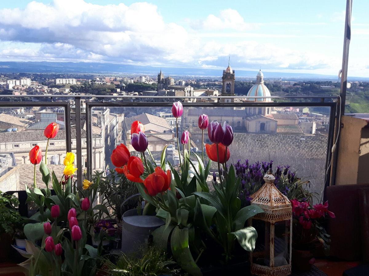 Casa Tipica Siciliana Patronale Home Bedandbreakfast Tremetrisoprailcielo Camere Con Vista, Colazione Interna In Terrazzo Panoramico Калтаджироне Екстериор снимка