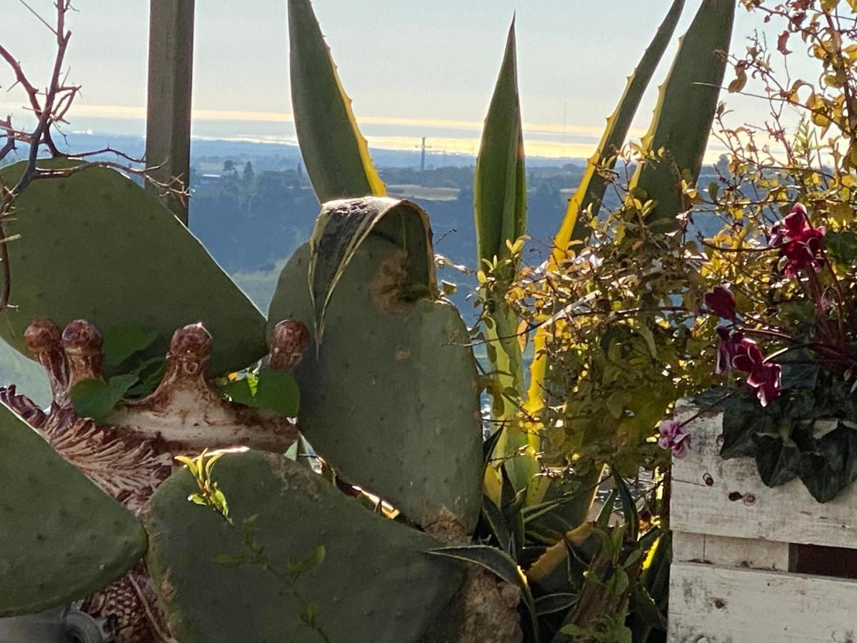 Casa Tipica Siciliana Patronale Home Bedandbreakfast Tremetrisoprailcielo Camere Con Vista, Colazione Interna In Terrazzo Panoramico Калтаджироне Екстериор снимка